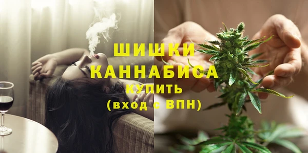 бошки Алексин