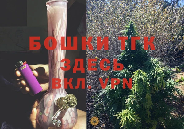 бошки Алексин