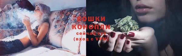 бошки Алексин