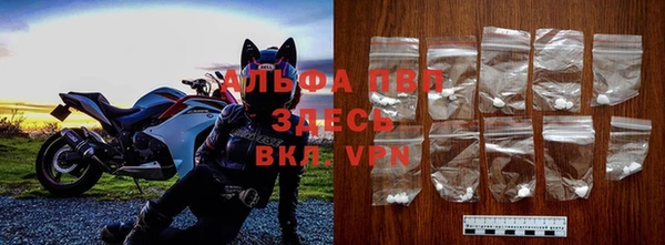 прущие крисы Алзамай