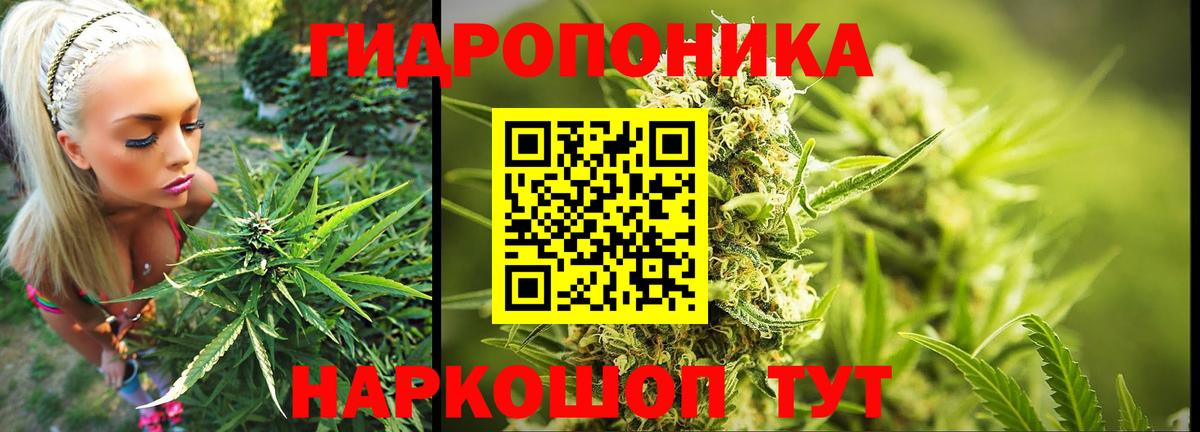 Бошки Шишки гибрид  Вход с VPN  Шишки марихуана Bruce Banner  Чусовой  Канабис Amnesia  Шишки марихуана тримм 